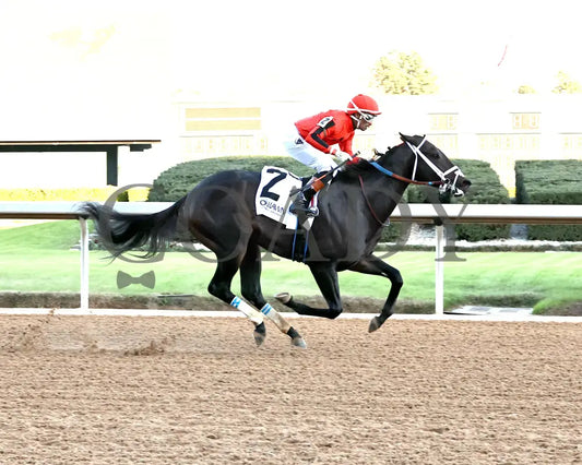 DIRTY RICH - Advent Stakes - 12-12-25 - R08 - OP - Finish 01 - Coady Media - Kurtis Coady Photography