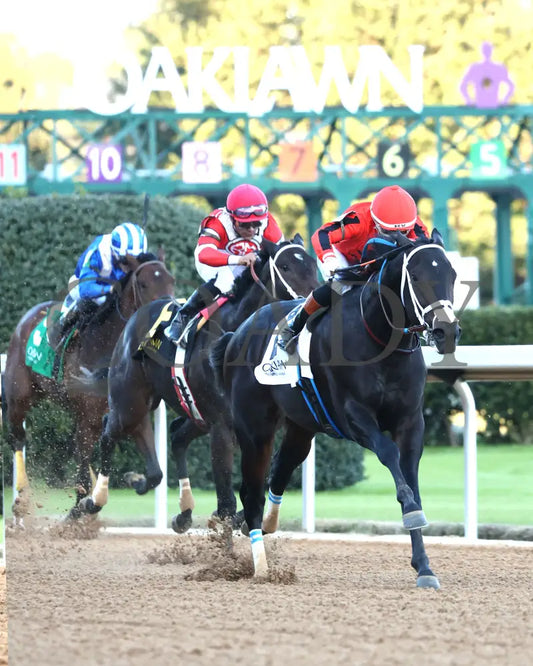 DIRTY RICH - Advent Stakes - 12-12-25 - R08 - OP - Finish 02 - Coady Media - Kurtis Coady Photography