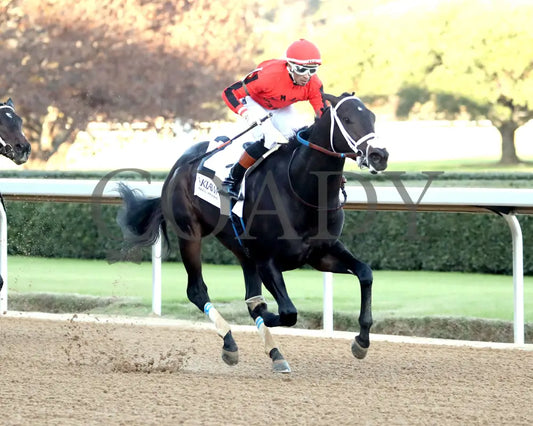DIRTY RICH - Advent Stakes - 12-12-25 - R08 - OP - Finish 02 - Coady Media - Kurtis Coady Photography