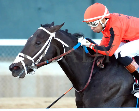 DIRTY RICH - Advent Stakes - 12-12-25 - R08 - OP - Inside Finish - Coady Media - Kurtis Coady Photography