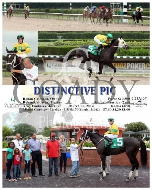 Distinctive Pic - 032914 Race 05 Crc Calder Course