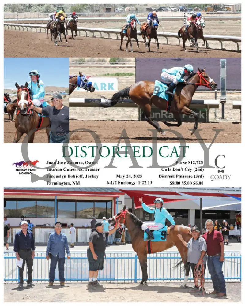 DISTORTED CAT - 05-24-25 - R01 - SRP SunRay Park