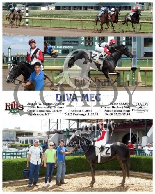 Diva Meg - 080814 Race 05 Elp Ellis Park