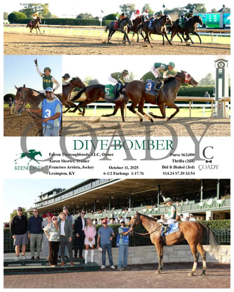 DIVE BOMBER - 101125 - Race 10 - KEE Keeneland