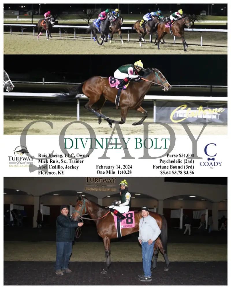 Divinely Bolt - 02-14-24 R07 Tp Turfway Park