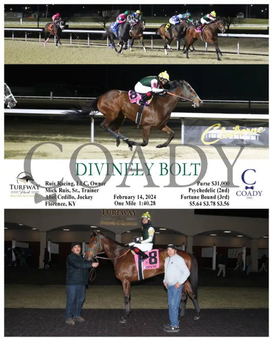 Divinely Bolt - 02-14-24 R07 Tp Turfway Park