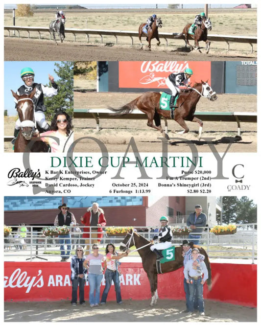 Dixie Cup Martini - 10-25-24 R05 Arp Arapahoe Park