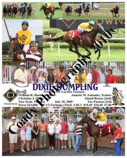 Dixie Dumpling - Friends Of Lucille Feature Colonial Downs
