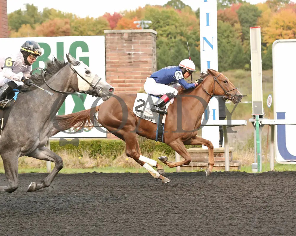 Dixieland Belle - The Finest City Stakes 10Th Running 10-14-24 R05 Pid Finish Presque Isle Downs