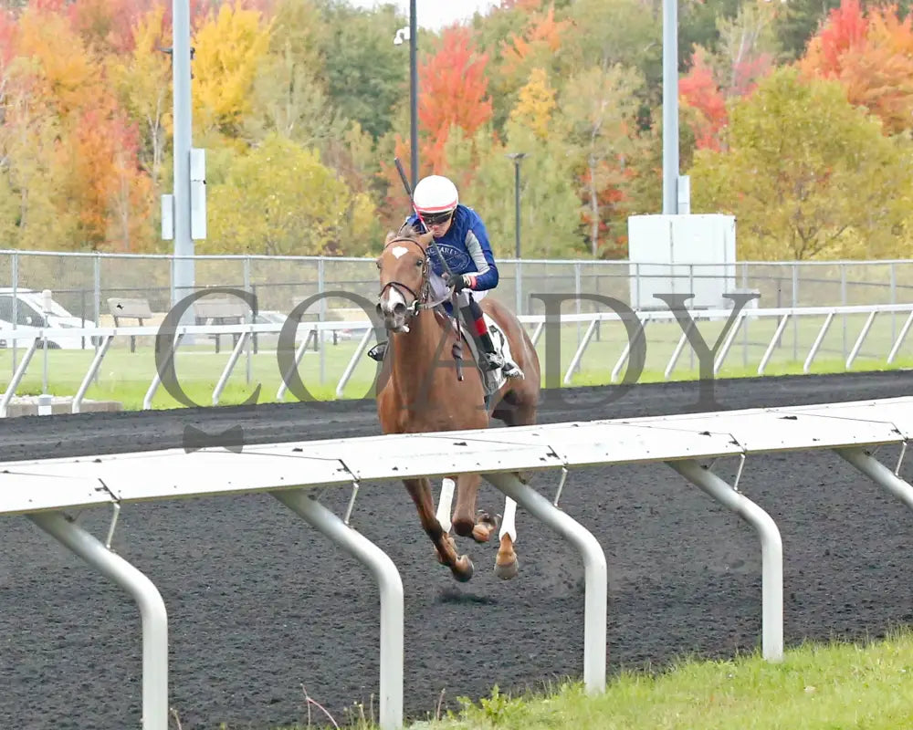 Dixieland Belle - The Finest City Stakes 10Th Running 10-14-24 R05 Pid Inside Finish Presque Isle
