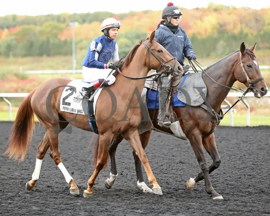 Dixieland Belle - The Finest City Stakes 10Th Running 10-14-24 R05 Pid Post Parade Presque Isle