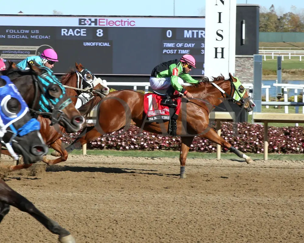 Dna Dales Winner - Miss Roxie Little Consolation Stakes 10-26-24 R08 Horseshoe Indiana Finish 01