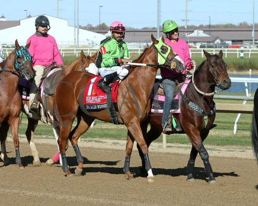 Dna Dales Winner - Miss Roxie Little Consolation Stakes 10-26-24 R08 Horseshoe Indiana Post Parade