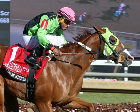 Dna Dales Winner - Miss Roxie Little Consolation Stakes 10-26-24 R08 Horseshoe Indiana Tight Finish