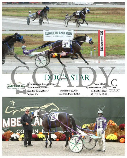 DOC’S STAR - 110225 - Race 08 - CMR Presque Isle Downs