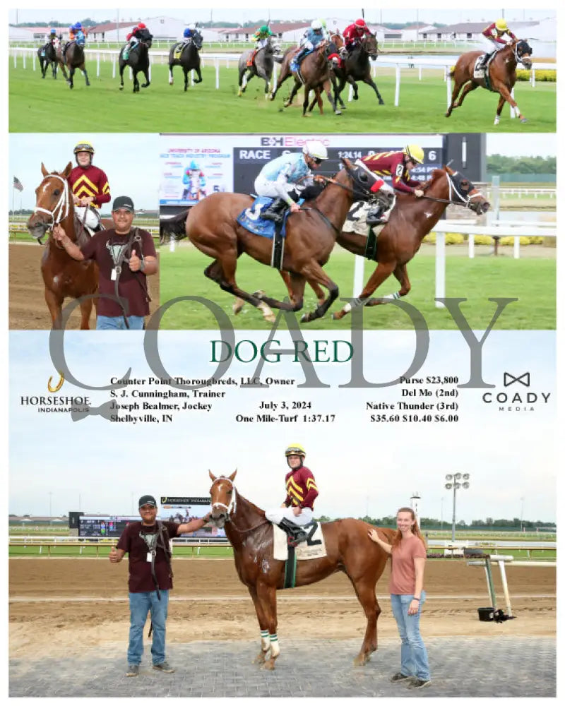 Dog Red - 07-03-24 R06 Ind Indiana Grand