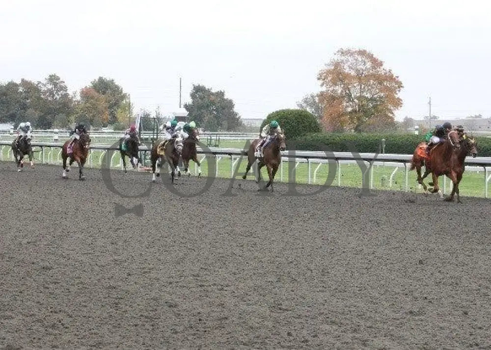 Dogwoods Barto - 1 101211 Race 02 Keeneland