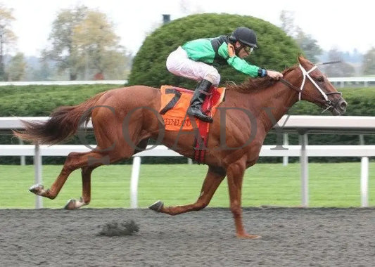 Dogwoods Barto - 2 101211 Race 02 Keeneland