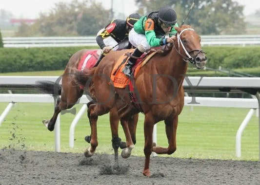 Dogwoods Barto - 3 101211 Race 02 Keeneland