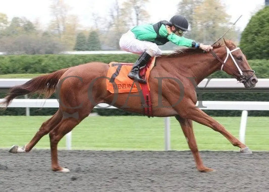 Dogwoods Barto - 5 101211 Race 02 Keeneland