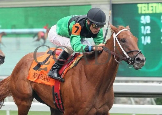 Dogwoods Barto - 6 101211 Race 02 Keeneland