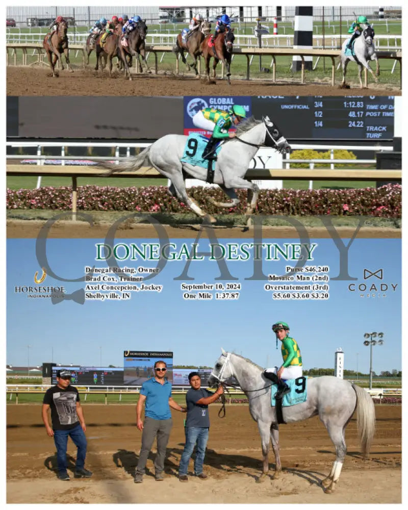 Donegal Destiney - 09-10-24 R07 Ind Indiana Grand