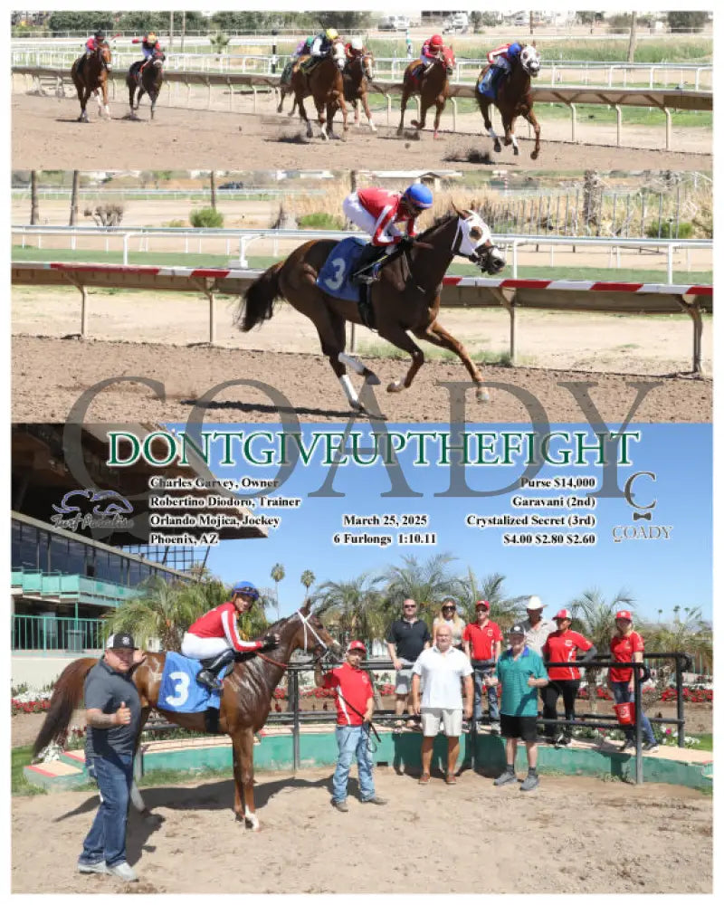DONTGIVEUPTHEFIGHT - 03-25-25 - R03 - TUP Turf Paradise