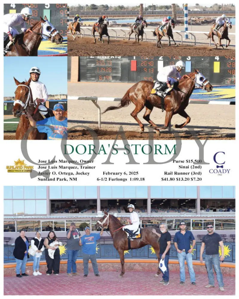 Dora’s Storm - 02-06-25 R09 Sun Turfway Park