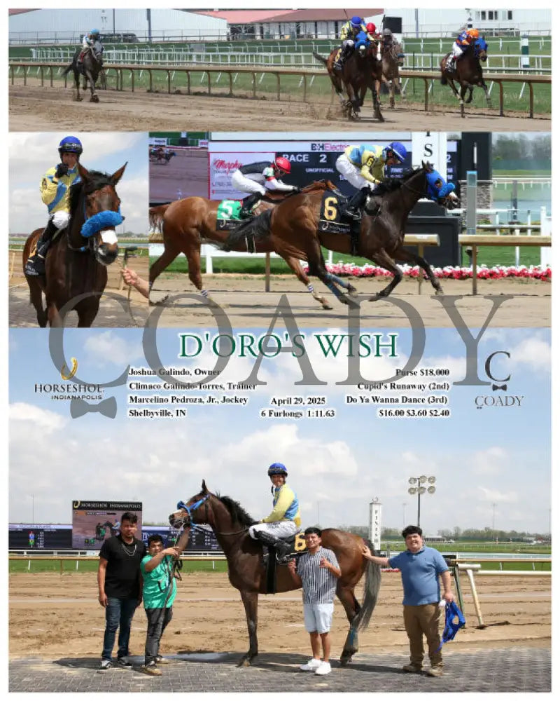 D’ORO’S WISH - 04-29-25 - R02 - IND Indiana Grand