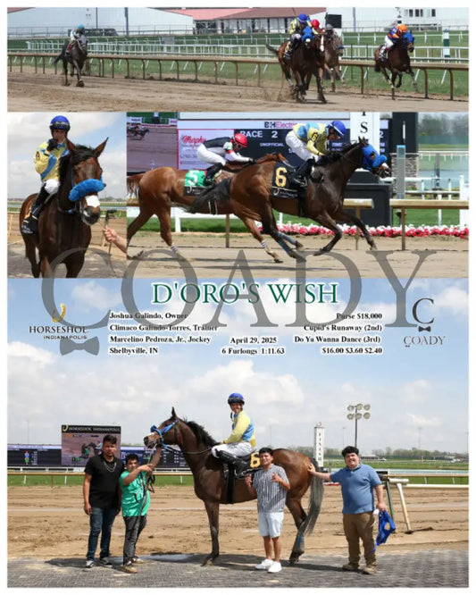D’ORO’S WISH - 04-29-25 - R02 - IND Indiana Grand