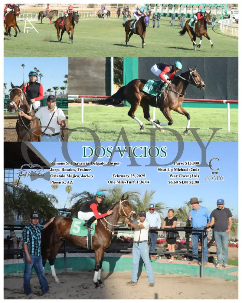 DOS VICIOS - 02-25-25 - R08 - TUP Turf Paradise