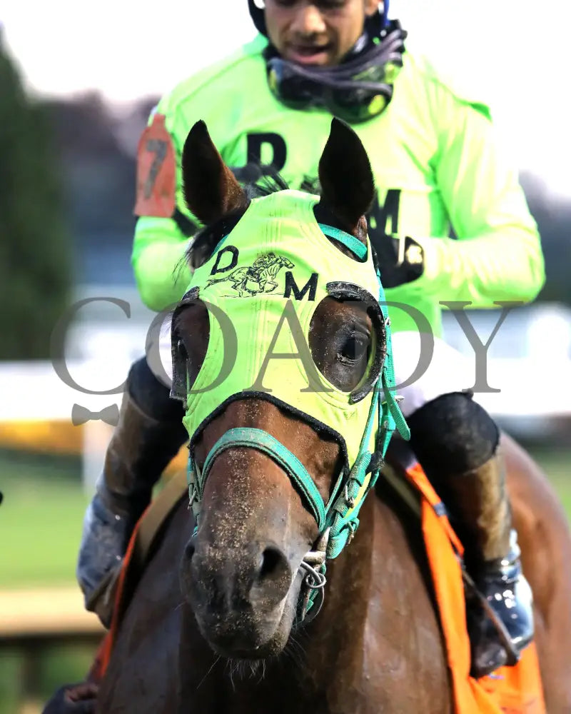 DOUBLE YOUR MONEY - The Jewel - 11-15-25 - R10 - CD - Come Back 01 - Coady Media - Kurtis Coady Photography