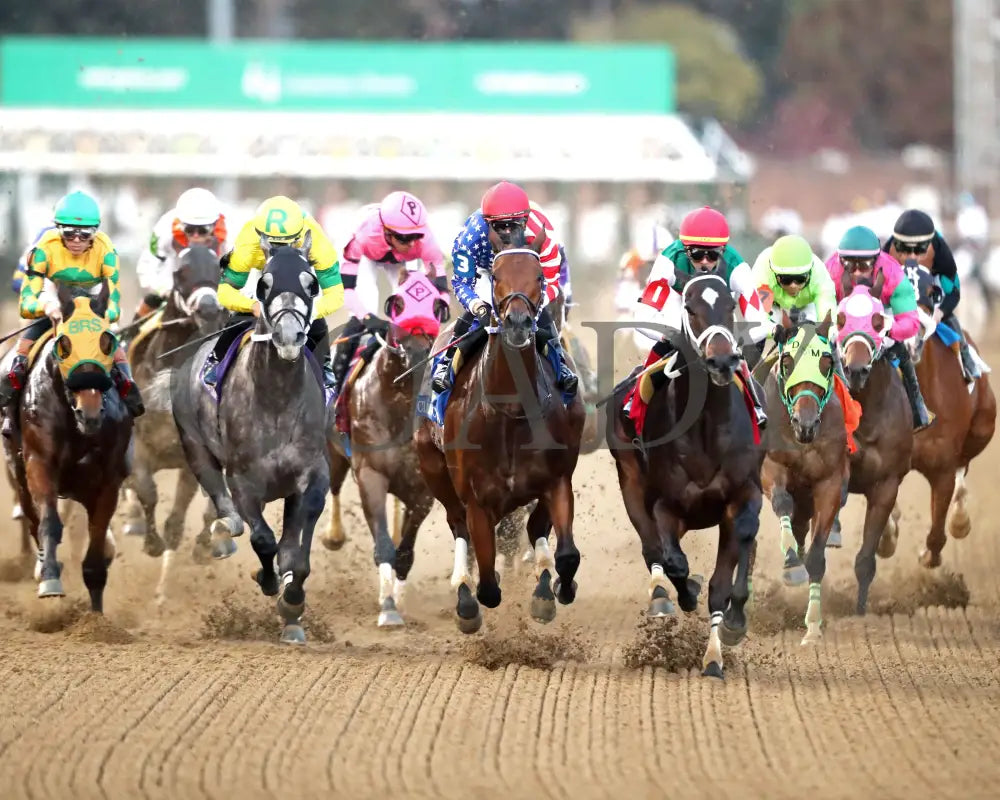 DOUBLE YOUR MONEY - The Jewel - 11-15-25 - R10 - CD - First Turn 01 - Coady Media - Kurtis Coady Photography