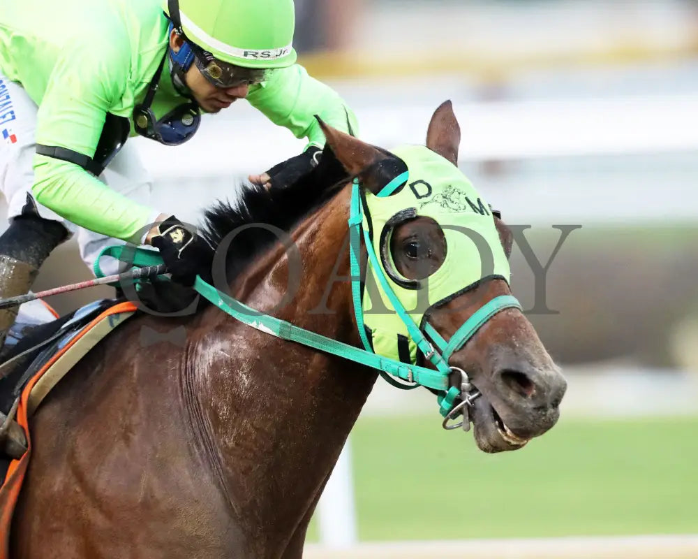 DOUBLE YOUR MONEY - The Jewel - 11-15-25 - R10 - CD - Gallop Out 02 - Coady Media - Kurtis Coady Photography