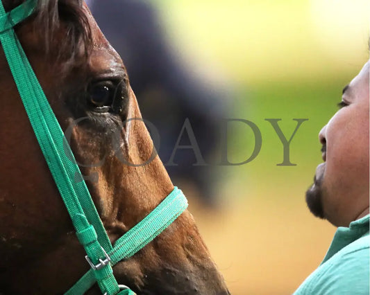DOUBLE YOUR MONEY - The Jewel - 11-15-25 - R10 - CD - Post Race 01 - Coady Media - Kurtis Coady Photography