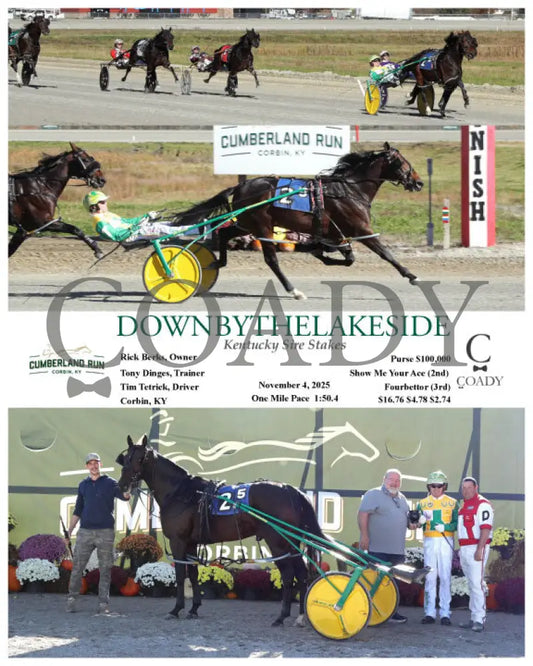 DOWNBYTHELAKESIDE - Kentucky Sire Stakes - 11-04-25 - R05 - CMR Presque Isle Downs