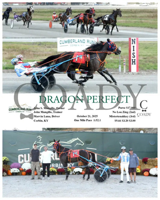 DRAGON PERFECT - 102125 - Race 11 - CMR Presque Isle Downs