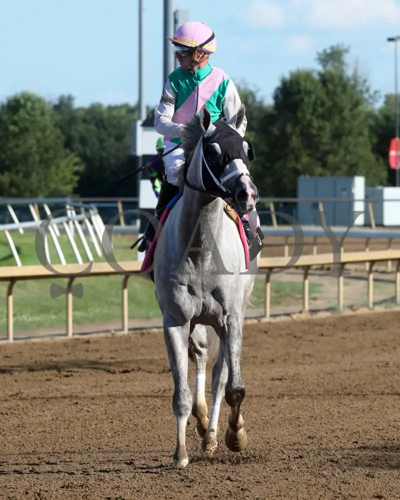 Dragoon Gaurd - Indiana Derby 30Th Running G3 07-06-24 R12 Horseshoe Come Back 01 Renee Torbit Grand