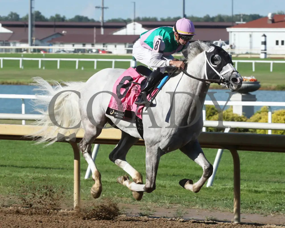 Dragoon Gaurd - Indiana Derby 30Th Running G3 07-06-24 R12 Horseshoe Finish 02 Renee Torbit Grand