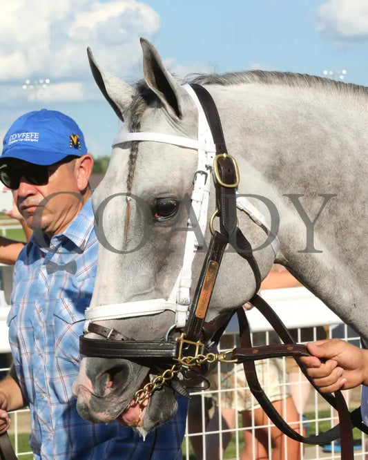 Dragoon Gaurd - Indiana Derby 30Th Running G3 07-06-24 R12 Horseshoe Paddock 03 Samantha Pagels