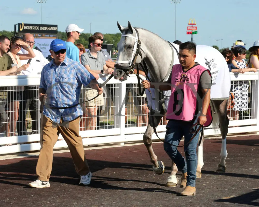 Dragoon Gaurd - Indiana Derby 30Th Running G3 07-06-24 R12 Ind Paddock 04 Grand