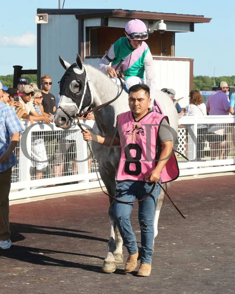 Dragoon Gaurd - Indiana Derby 30Th Running G3 07-06-24 R12 Ind Paddock 06 Grand