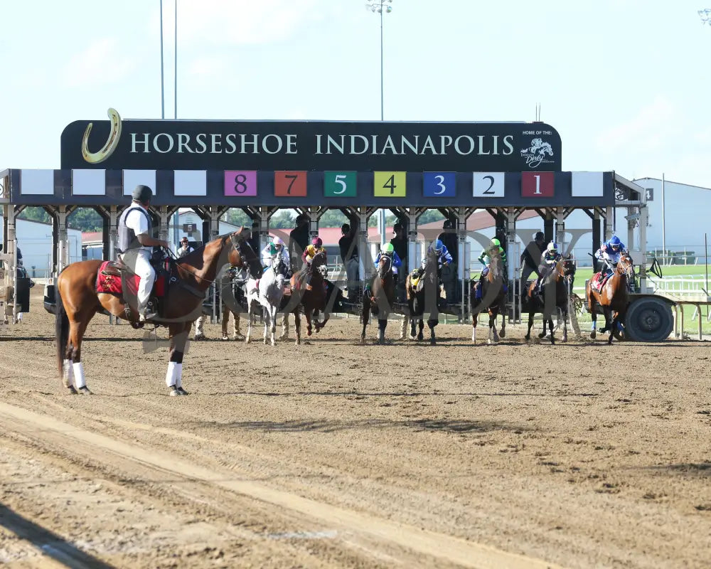 Dragoon Gaurd - Indiana Derby 30Th Running G3 07-06-24 R12 Ind Start 02 Grand