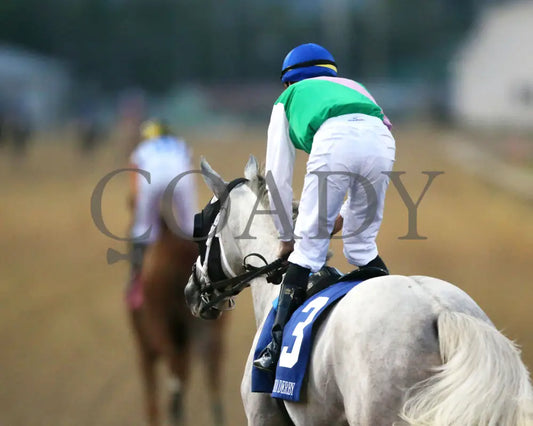 Dragoon Guard - The West Virginia Derby G3 08-04-24 R08 Mnr Comeback 01 Mountaineer Park