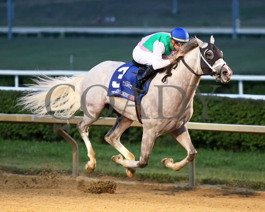 Dragoon Guard - The West Virginia Derby G3 08-04-24 R08 Mnr Finish 02 Mountaineer Park