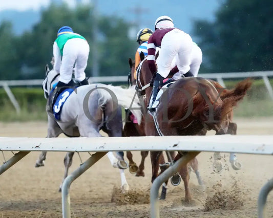 Dragoon Guard - The West Virginia Derby G3 08-04-24 R08 Mnr First Pass 01 Mountaineer Park