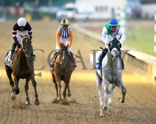 Dragoon Guard - The West Virginia Derby G3 08-04-24 R08 Mnr Gallop Out 01 Mountaineer Park
