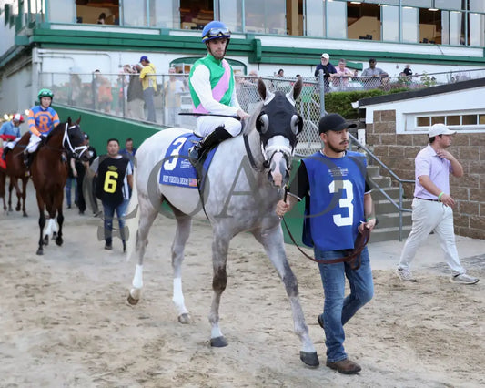 Dragoon Guard - The West Virginia Derby G3 08-04-24 R08 Mnr Paddock 01 Mountaineer Park