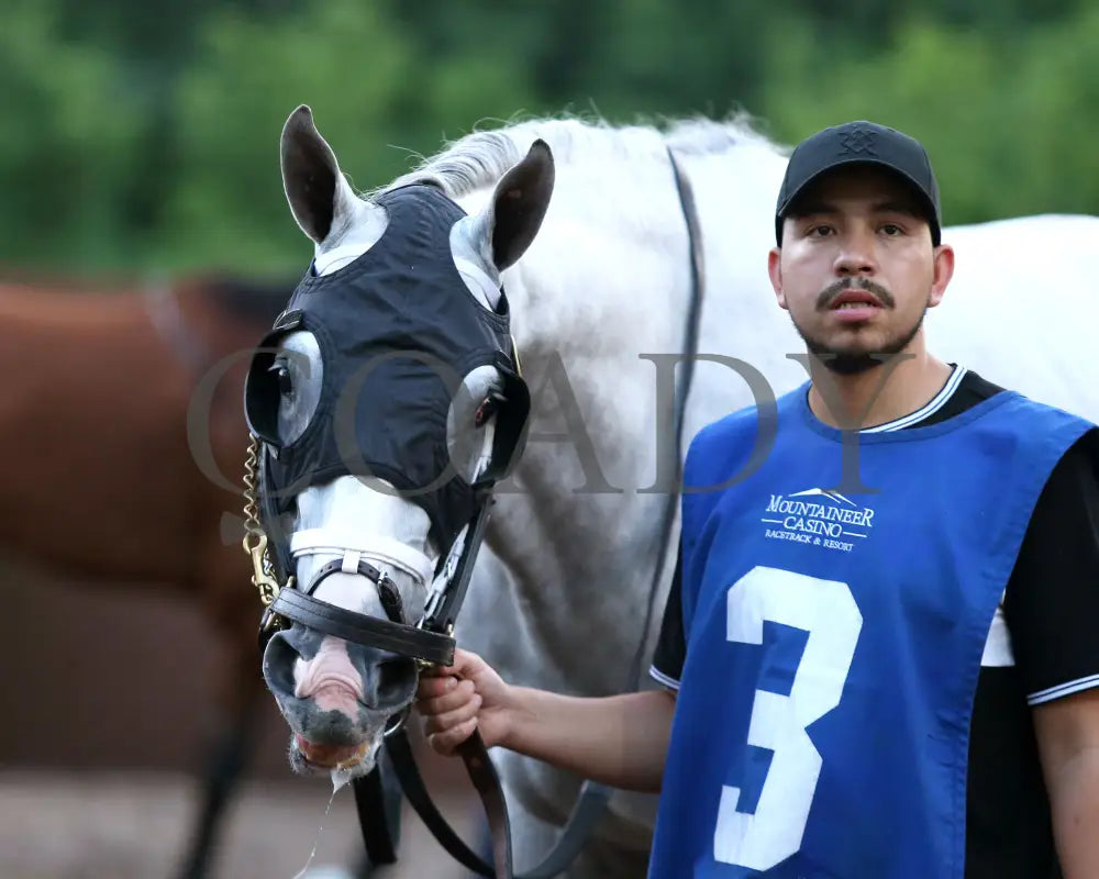 Dragoon Guard - The West Virginia Derby G3 08-04-24 R08 Mnr Paddock 02 Mountaineer Park