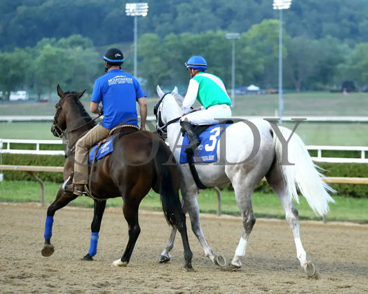 Dragoon Guard - The West Virginia Derby G3 08-04-24 R08 Mnr Post Parade 01 Mountaineer Park